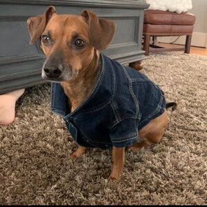 American Beagle Dog Denim Jacket